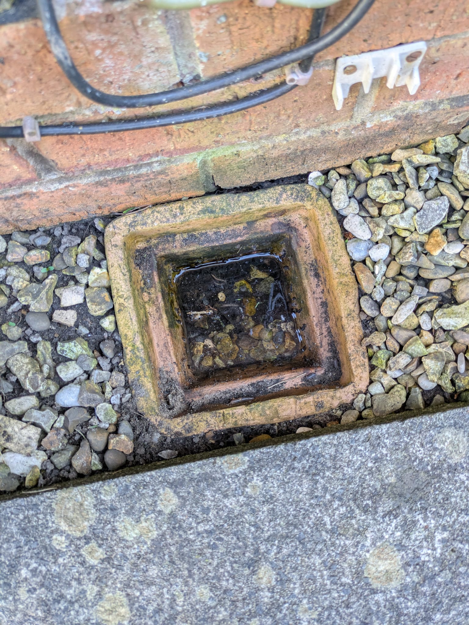 Dirty driveway before power washing